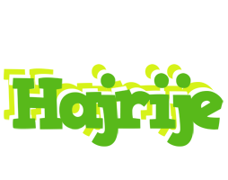 Hajrije picnic logo