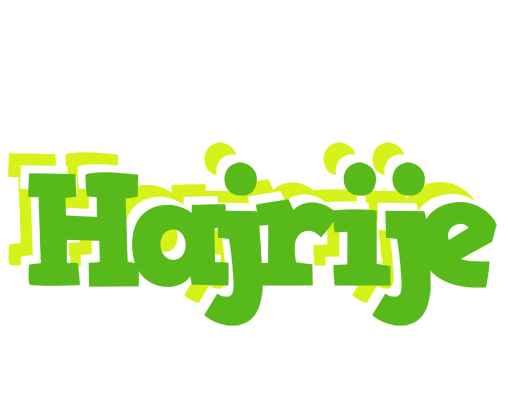 Hajrije picnic logo