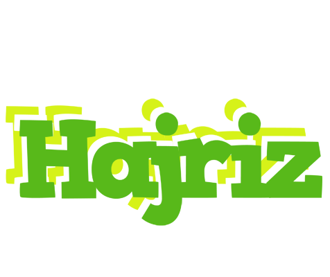 Hajriz picnic logo