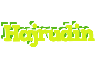 Hajrudin citrus logo