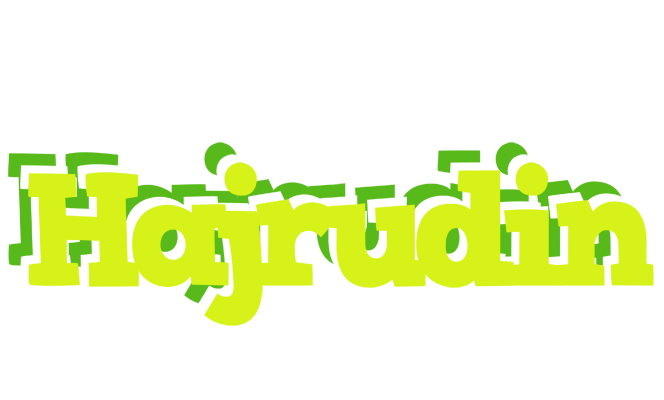 Hajrudin citrus logo