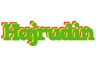 Hajrudin crocodile logo