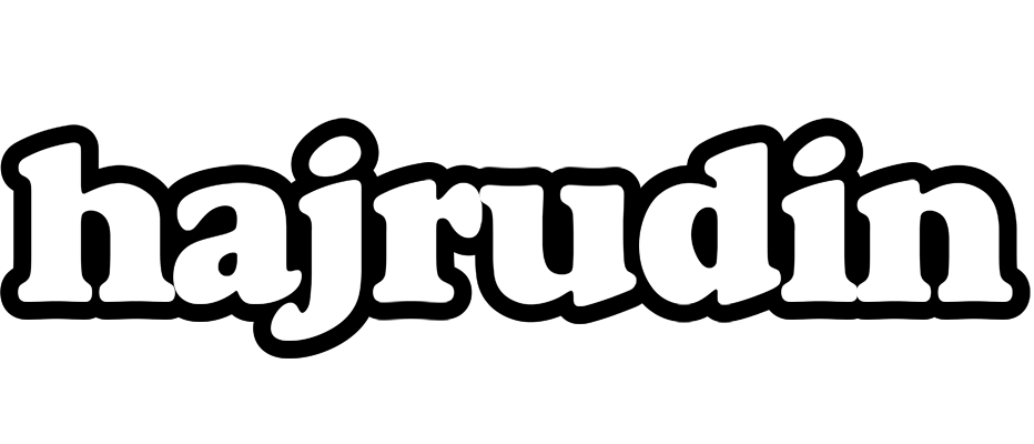 Hajrudin panda logo