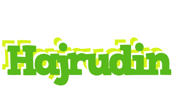 Hajrudin picnic logo