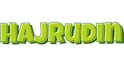 Hajrudin summer logo