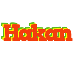 Hakan bbq logo