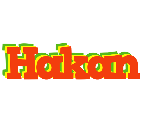 Hakan bbq logo