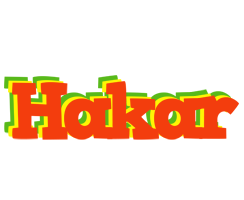 Hakar bbq logo