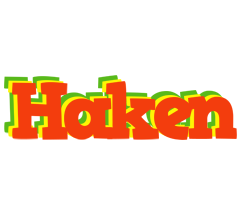 Haken bbq logo