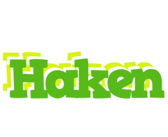 Haken picnic logo