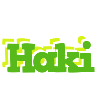 Haki picnic logo