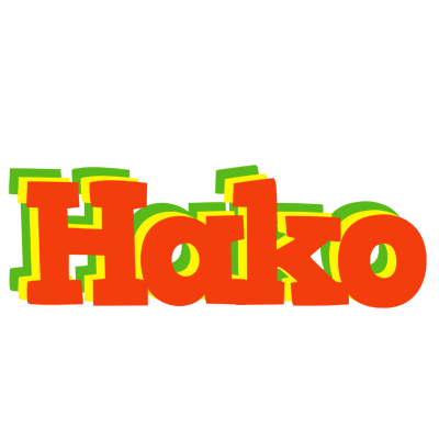 Hako bbq logo