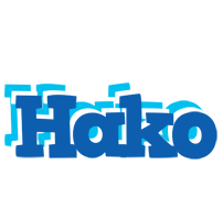 Hako business logo