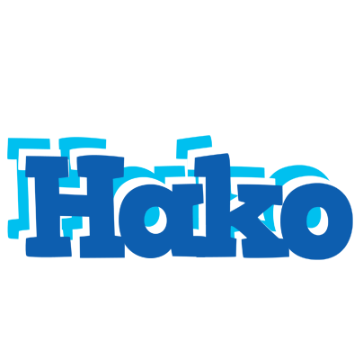 Hako business logo