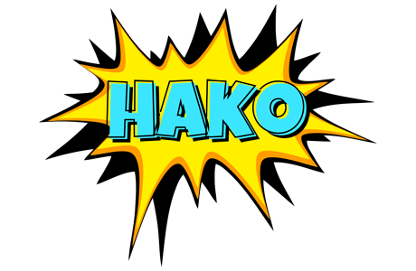 Hako indycar logo