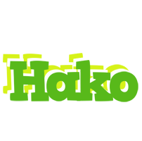 Hako picnic logo