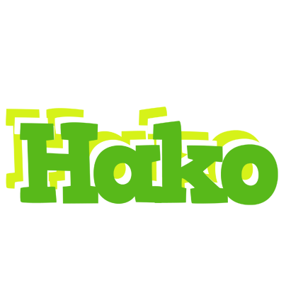 Hako picnic logo