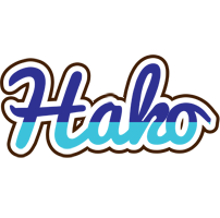 Hako raining logo
