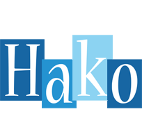 Hako winter logo