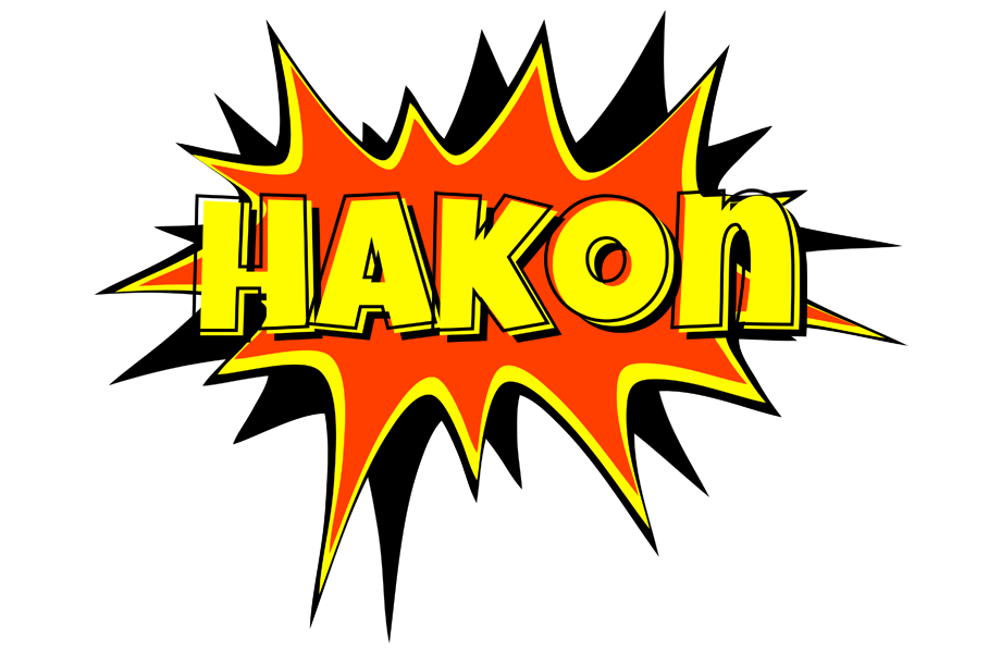Hakon bazinga logo