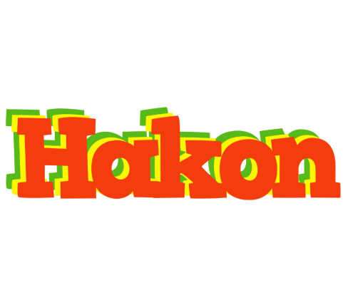 Hakon bbq logo
