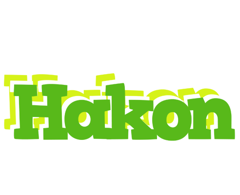 Hakon picnic logo