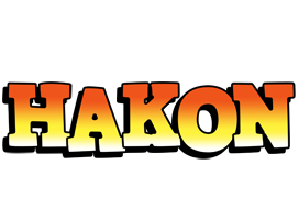 Hakon sunset logo