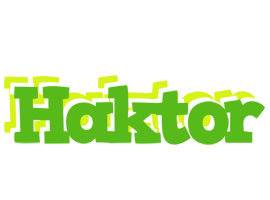 Haktor picnic logo