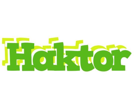 Haktor picnic logo