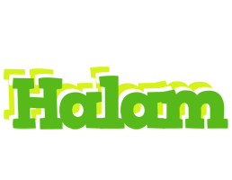 Halam picnic logo