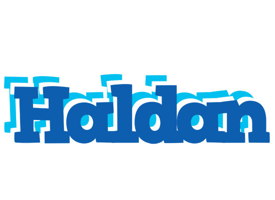 Haldan business logo