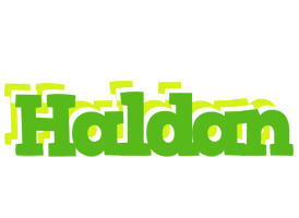 Haldan picnic logo