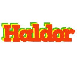 Haldor bbq logo