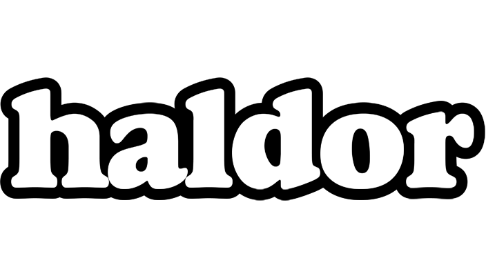 Haldor panda logo