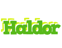 Haldor picnic logo