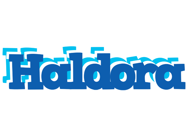 Haldora business logo