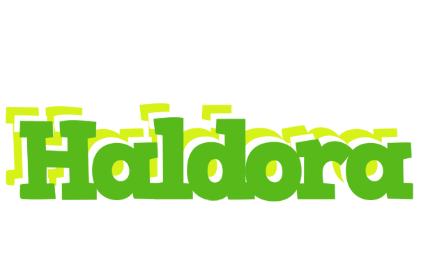 Haldora picnic logo