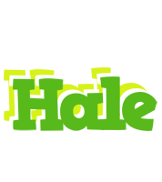 Hale picnic logo