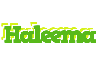 Haleema picnic logo