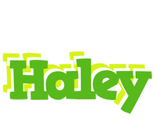 Haley picnic logo