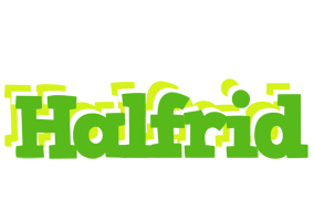 Halfrid picnic logo