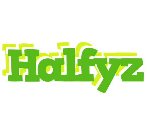 Halfyz picnic logo