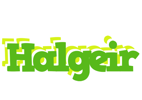 Halgeir picnic logo
