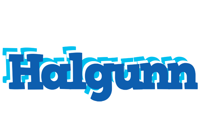 Halgunn business logo
