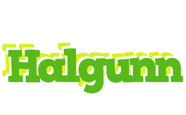 Halgunn picnic logo