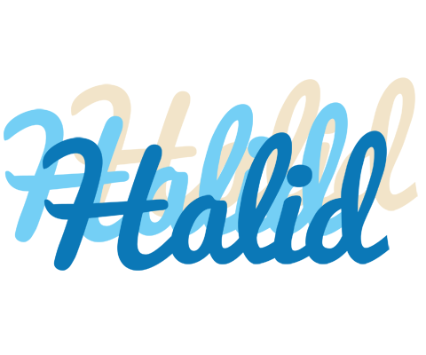 Halid breeze logo