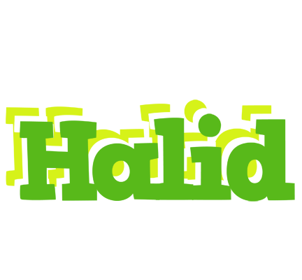 Halid picnic logo