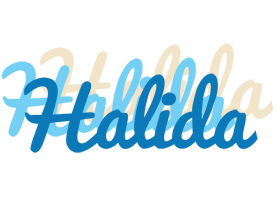 Halida breeze logo