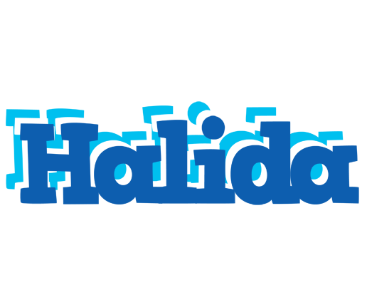 Halida business logo