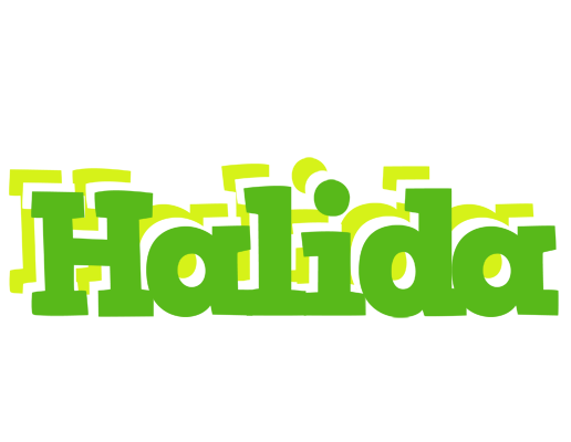 Halida picnic logo